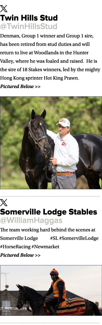 ￼ Twin Hills Stud @TwinHillsStud Denman, Group 1 winner and Group 1 sire, has been retired from stud duties and will ...