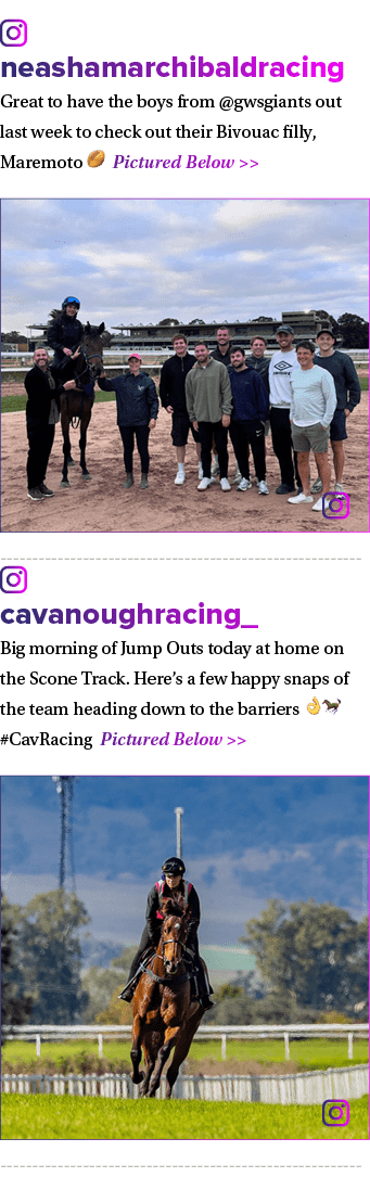 ￼ neashamarchibaldracing Great to have the boys from @gwsgiants out last week to check out their Bivouac filly, Marem...