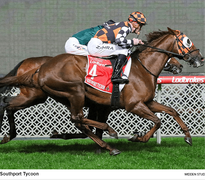 Southport Tycoon widden STU