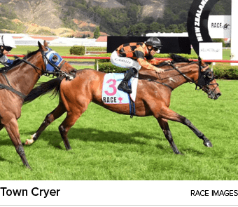 Town Cryer Race Image