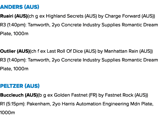 Anders (AUS) Ruairi (AUS)(ch g ex Highland Secrets (AUS) by Charge Forward (AUS)) R3 (1:40pm): Tamworth, 2yo Concrete...