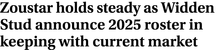 Zoustar holds steady as Widden Stud announce 2025 roster in keeping with current market