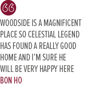 Woodside is a magnificent place so Celestial Legend has found a really good home and I’m sure he will be very happy h...