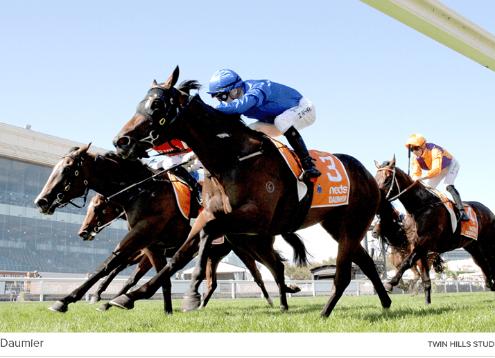 Daumier Twin Hills stu