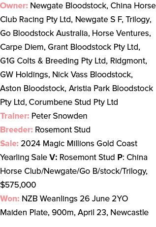 Owner: Newgate Bloodstock, China Horse Club Racing Pty Ltd, Newgate S F, Trilogy, Go Bloodstock Australia, Horse Vent...