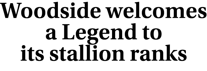 Woodside welcomes a Legend to its stallion ranks