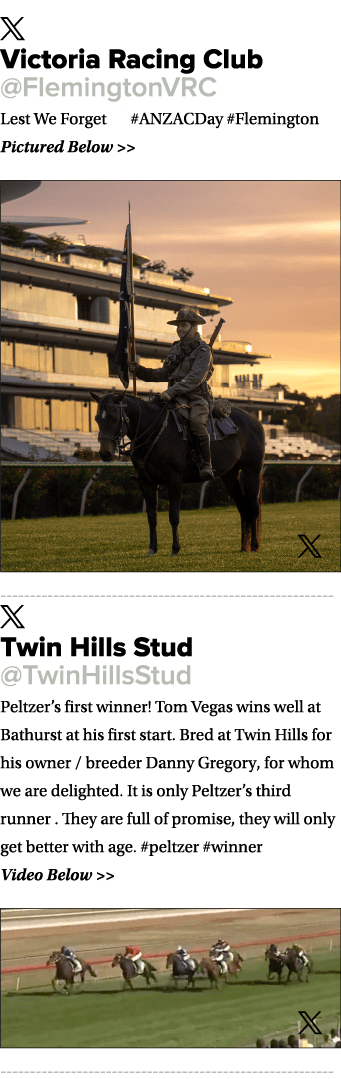 ￼ Victoria Racing Club @FlemingtonVRC Lest We Forget 🌹 #ANZACDay #Flemington Pictured Below   ￼ ￼ Twin Hills Stud @...