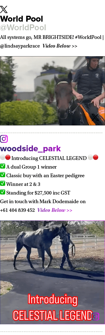 ￼ World Pool @WorldPool All systems go, MR BRIGHTSIDE! #WorldPool | @lindsayparkrace Video Below   ￼ ￼ woodside_park...