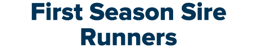 First Season Sire Runners