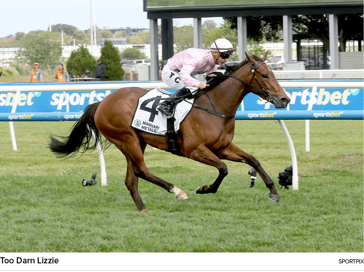 Too Darn Lizzie sportpi