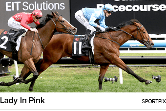 Lady In Pink sportpi