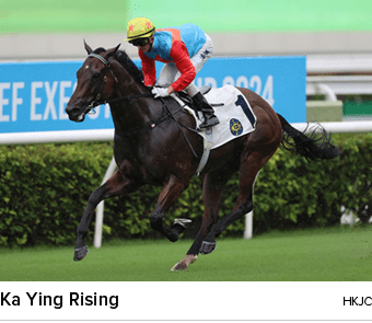 Ka Ying Rising HKJ