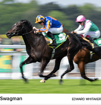 Swagman Edward Whitake