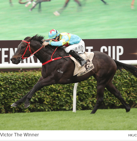 Victor The Winner hkj