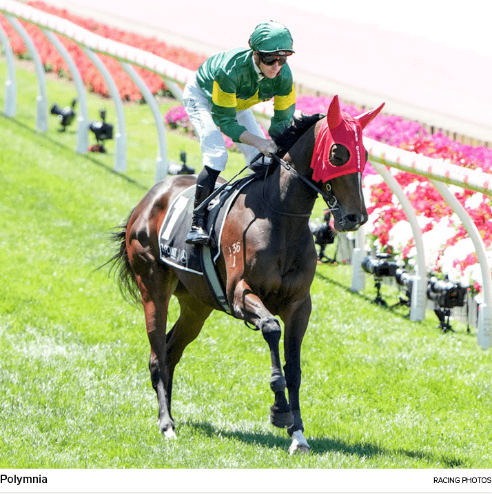 Polymnia racing photo