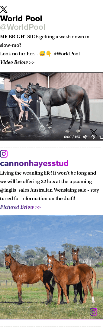 ￼ World Pool @WorldPool MR BRIGHTSIDE getting a wash down in slow mo? Look no further… 😅👇 #WorldPool Video Below  ...