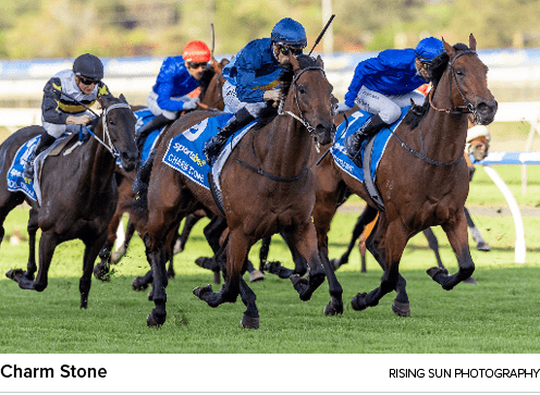 Charm Stone Rising Sun Photograph