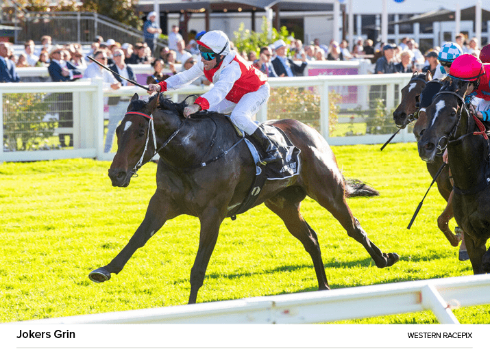 Jokers Grin Western Racepi