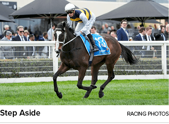 Step Aside racing photo