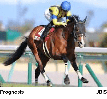 Prognosis JBI