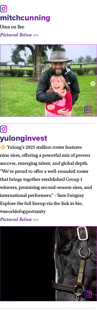 ￼ mitchcunning Uma on fire Pictured Below   ￼ ￼ yulonginvest ⚜️ Yulong’s 2025 stallion roster features nine sires, o...