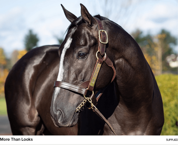 More Than Looks Supplie