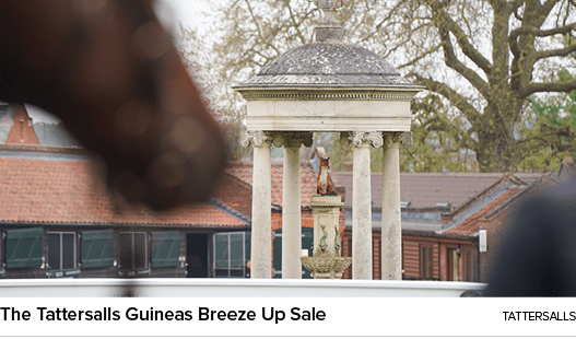The Tattersalls Guineas Breeze Up Sale Tattersall