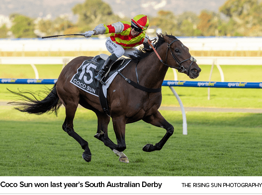 Coco Sun won last year’s South Australian Derby The Rising Sun Photograph