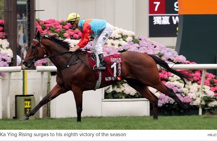Ka Ying Rising surges to his eighth victory of the season HKJ