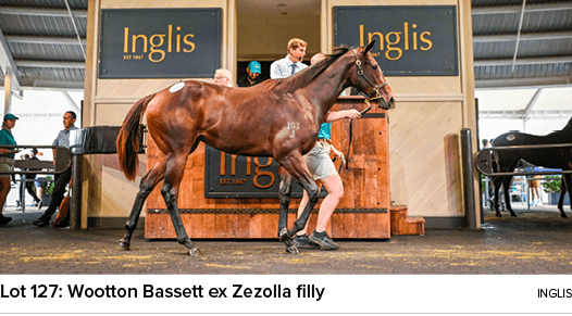 Lot 127: Wootton Bassett ex Zezolla filly Ingli