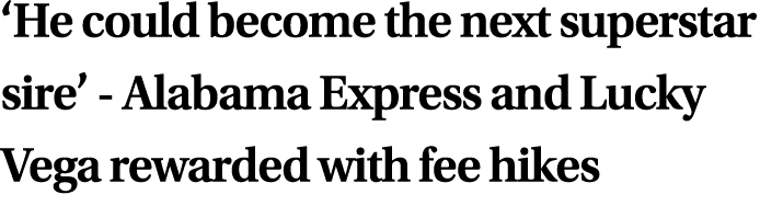 ‘He could become the next superstar sire’ Alabama Express and Lucky Vega rewarded with fee hikes