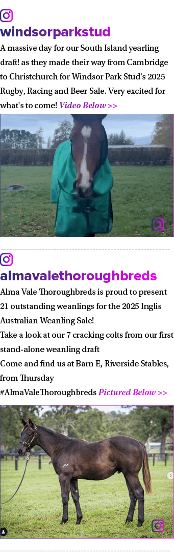 ￼ windsorparkstud A massive day for our South Island yearling draft! as they made their way from Cambridge to Christc...