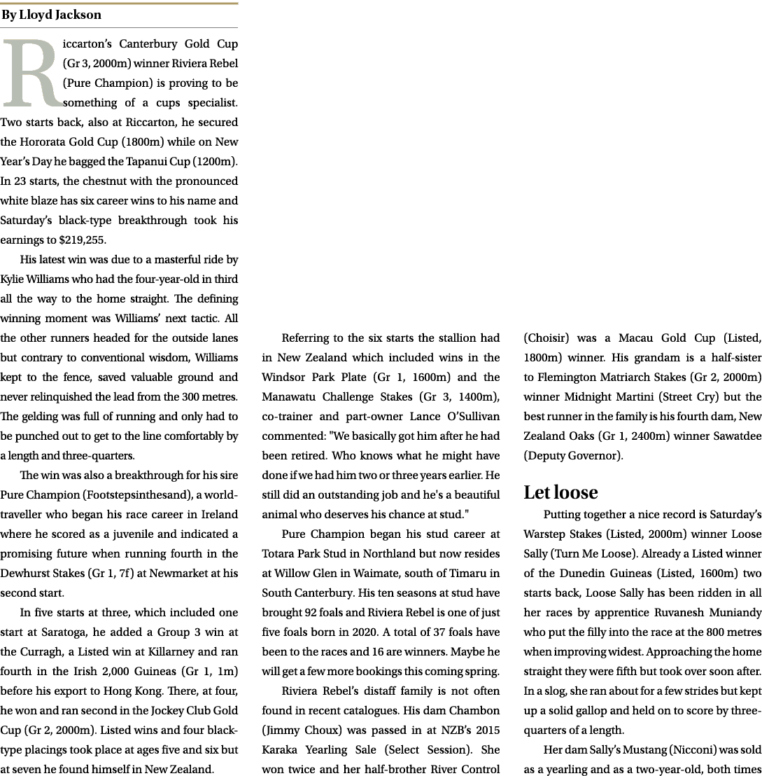 ￼ Riccarton’s Canterbury Gold Cup (Gr 3, 2000m) winner Riviera Rebel (Pure Champion) is proving to be something of a ...