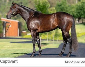 Captivant Kia Ora Stu