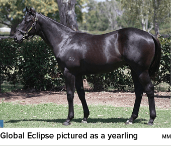 Global Eclipse pictured as a yearling m