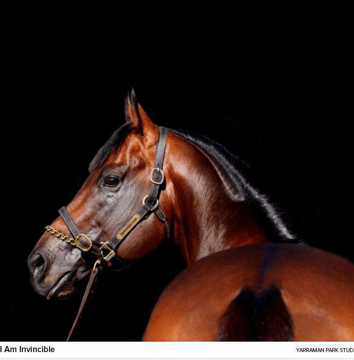 I Am Invincible yarraman park stu