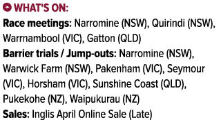 ￼ What's on: Race meetings: Narromine (NSW), Quirindi (NSW), Warrnambool (VIC), Gatton (QLD) Barrier trials / Jump ou...