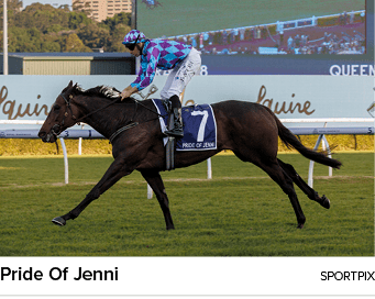 Pride Of Jenni sportpi