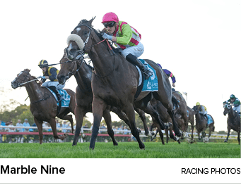 Marble Nine racing photo