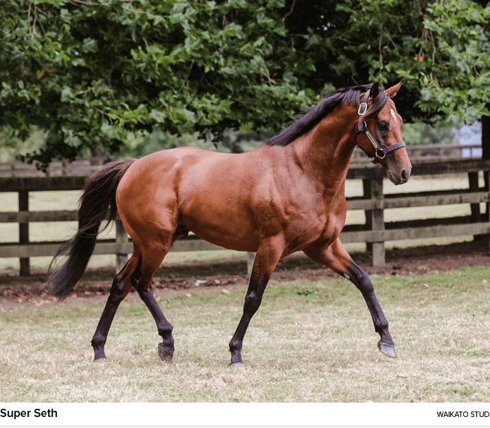 Super Seth Waikato Stu