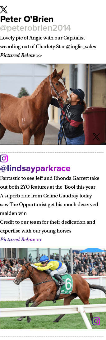 ￼ Peter O'Brien @peterobrien2014 Lovely pic of Angie with our Capitalist weanling out of Charlety Star @inglis_sales ...