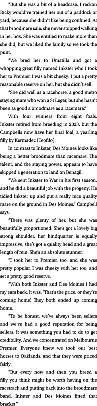 “But she was a bit of a headcase. I reckon Ricky would’ve trained her out of a paddock or yard, because she didn’t li...