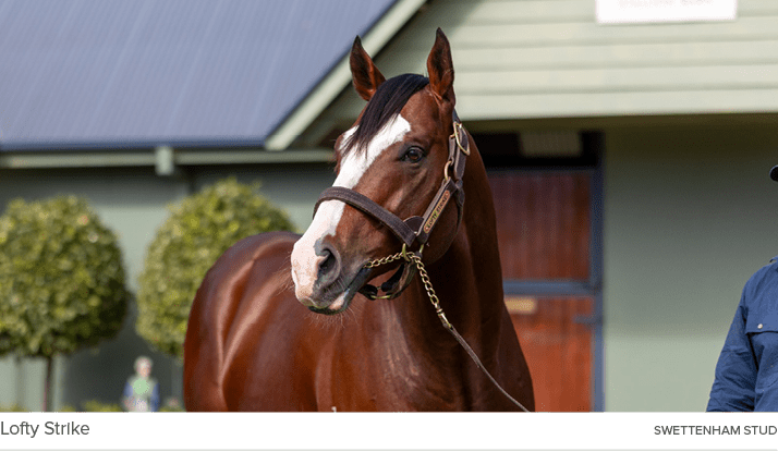 Lofty Strike Swettenham Stu