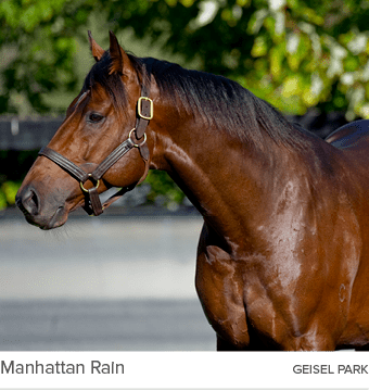 Manhattan Rain geisel par