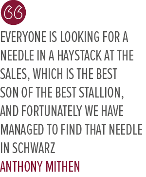 Everyone is looking for a needle in a haystack at the sales, which is the best son of the best stallion, and fortunat...