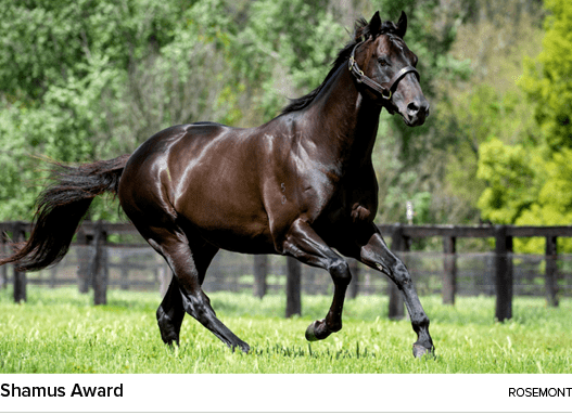 Shamus Award rosemon