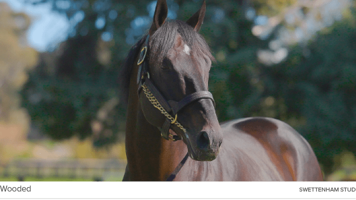 Wooded Swettenham Stu