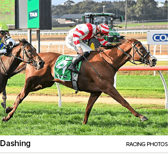 Dashing racing photo