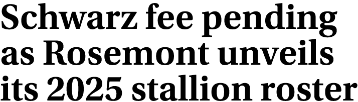 Schwarz fee pending as Rosemont unveils its 2025 stallion roster