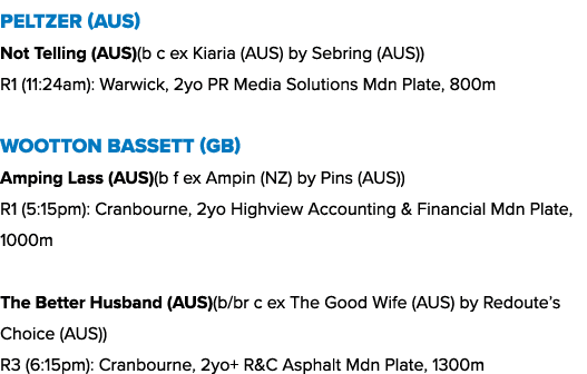 Peltzer (AUS) Not Telling (AUS)(b c ex Kiaria (AUS) by Sebring (AUS)) R1 (11:24am): Warwick, 2yo PR Media Solutions M...